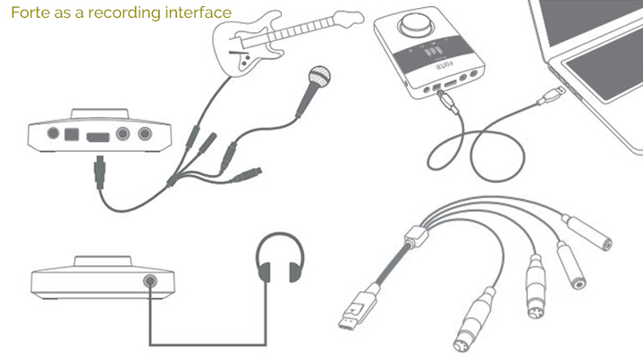 focusrite_forte_8